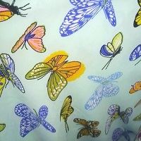 бабочки голубые435